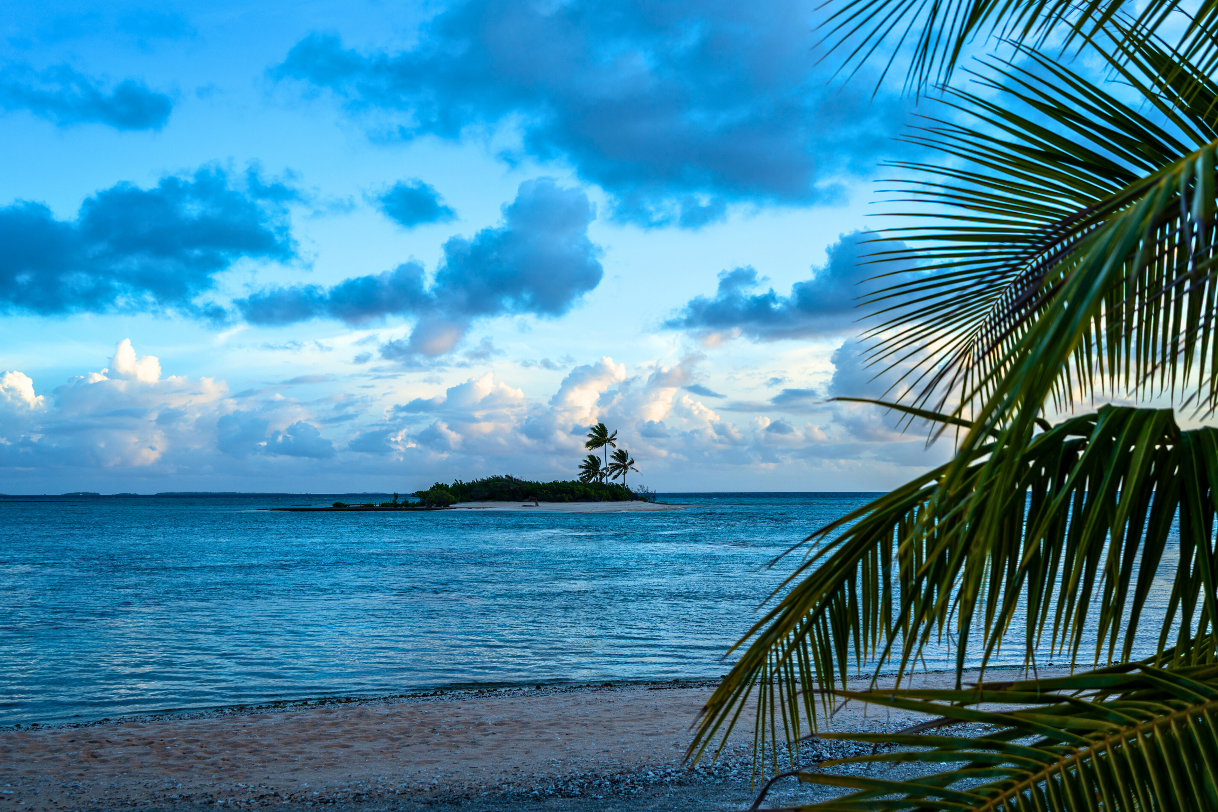 tikehau atoll (3).webp